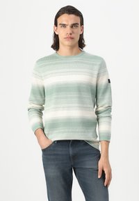 Maglione a righe verde chiaro con maniche lunghe, scollo rotondo, realizzato in tessuto testurizzato. Indossato con jeans blu scuro, che presentano un logo sottile sulla manica.