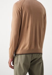 Brauner gestrickter Pullover mit langen Ärmeln, der einen gerippten Saum und einen subtilen schwarzen Streifen aufweist. Kombiniert mit olivgrünen Hosen.