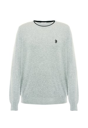Maglione grigio chiaro realizzato in tessuto morbido, con scollatura rotonda, maniche lunghe e un piccolo logo nero sul lato sinistro del petto.