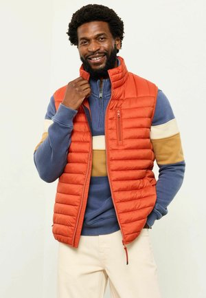 REGULAR FIT - Weste - orange