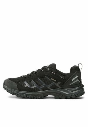 CARIBE GTX - Outdoorschoenen - noiir
