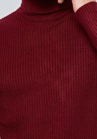 Pull à col roulé rouge côtelé avec un motif de tricot texturé. Présente une coupe ajustée et un col haut. Le matériau semble doux et chaud.