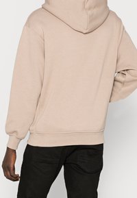 Felpa con cappuccio color beige chiaro, dotata di polsini e orlo a coste, realizzata in un morbido tessuto misto cotone, con cuciture laterali e un taglio rilassato. Vista posteriore mostrata.