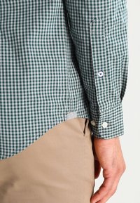 Man in een groen en wit geruit overhemd met lange mouwen en beige broek, hand ontspannen aan de zijde, geknipt op taille- en polsniveau.