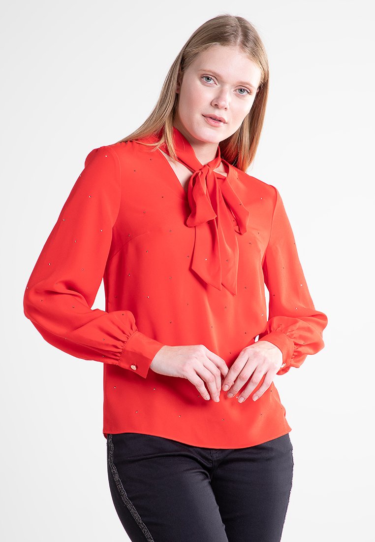 Blusa