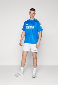 adidas Sportswear HOUSE OF TIRO NATIONS PACK - Marškinėliai su spaudiniu - blue/white/red/green