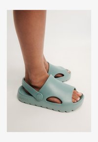 Unselected, peppermint