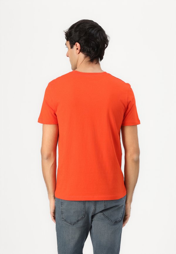 PRINTED  - Print T-shirt4