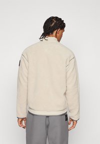 adidas Terrex NATIONAL GEOGRAPHIC JACKET UNISEX - Flísová bunda - alumina