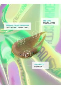 Miniatuurafbeelding 5