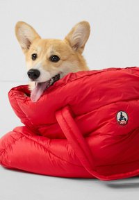 Rode, gewatteerde hondenjas met een hoge kraag en logodetail. Hondenhoofd zichtbaar binnenin. Zachte, gewatteerde textuur met handvatten om te dragen.