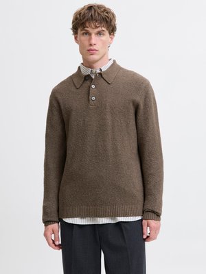 Ung mann kledd i en brun teksturert langermet genser over en stripete skjorte med knapper og mørkegrå bukser, stående mot en hvit bakgrunn.