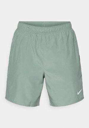 Grüne Nike-Shorts mit einem elastischen Bund, glatter Textur und einem weißen Logo auf der linken Seite. Keine sichtbaren Taschen.
