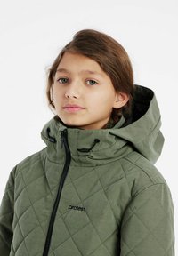 Giacca trapuntata verde con colletto alto e cappuccio, dotata di zip nere e cordini, con un logo discreto sul petto.