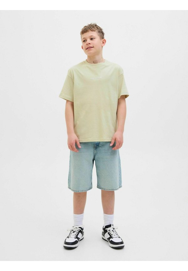 JORVESTERBRO SS CREW NECK NOOS - T-Shirt print - celadon tint