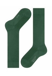 Calze di cotone verdi con una texture liscia, bordi rifiniti e polsini a costine, con il testo “FALKE FAMILY” sulla suola.