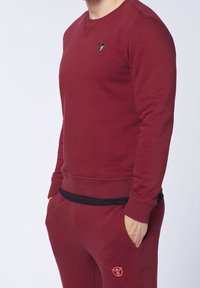 Sudadera de color burdeos con mangas largas, cuello redondo, puños y dobladillo acanalados. Presenta un logo verde en el pecho. Combinada con pantalones de chándal a juego.
