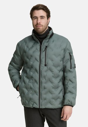 Winterjacke - washed jasper green