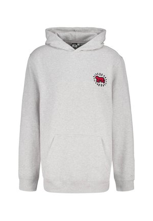 Sudadera gris de tela suave, con un bolsillo tipo canguro en la parte delantera y un diseño gráfico colorido en el lado izquierdo del pecho. Incluye capucha ajustable.