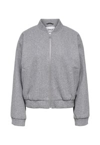 Veste bomber grise en matière douce, dotée d'une fermeture éclair à l'avant, d'un col, de poignets et d'un ourlet côtelés, avec des poches latérales. Design simple et pratique.