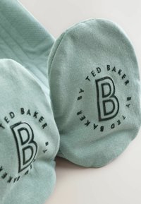 Hellgrüne Socken mit einer abgerundeten Zehenpartie und gerippter Textur. Schwarzes Logo mit "B" und "Ted Baker" auf dem Knöchelbereich gedruckt.