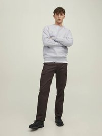 Felpa grigia con maniche lunghe, scollo tondo e polsini a costine. Pantaloni cargo marroni con tasche laterali. Scarpe nere con stringhe su sfondo semplice.