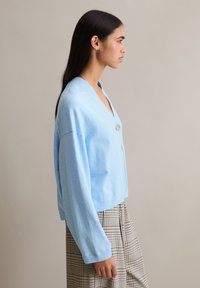 Jasnoniebieski kardigan z miękkiego materiału, z dekoltem w serek, długimi rękawami i dwoma guzikami do zapinania. Noszony na kratkowaną spódnicę.