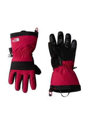 MONTANA SKI GLOVE UNISEX - Gloves - lali guran