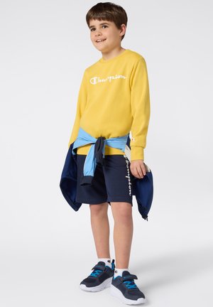 Sweatshirt - light yellow