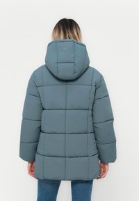 Pelējuma jaka pelēkā krāsā ar kapuci, lielām quiltētām sekcijām un brīvu piegriezumu. Izgatavota no gludas, sintētiskas materiāla.