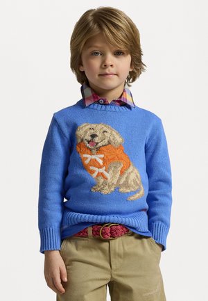 DOG INTARSIA COTTON SWEATER - Svetrík - harbor island blue