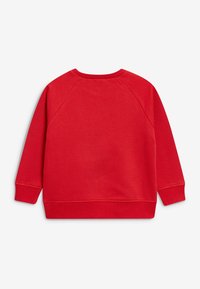 Punane dressipluus, millel on ümmargune kaelus, raglaanvarrukad ja soonikkoes mansetid. Sile tekstuur ilma mustrite või kaunistusteta.