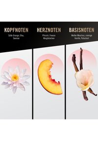 Imagen en miniatura 9