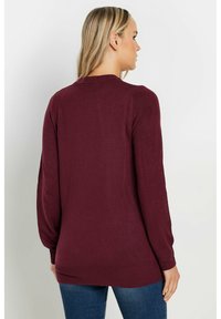 Long Tall Sally TALL CREW NECK  - Maglione - red