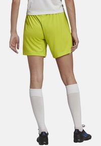 adidas Performance ENTRADA22 SHORTS - Korte broeken - gruenweiss
