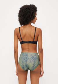 Chantelle Briefs - green
