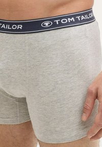 Sive pamučne bokserice s tamnoplavim pojasom na kojem se nalazi bijeli natpis "TOM TAILOR". Mekana tekstura, prilagođeni dizajn, bez uzoraka.