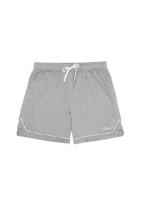 Gray mesh swim shorts with a drawstring waistband, white accents, and slanted side openings. Features a logo on the lower right.