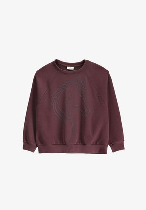 Coccodrillo, - Bluza