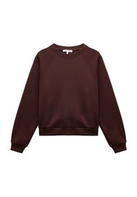 Bruine sweatshirt met een ronde hals, ribgebreide manchetten en zoom. Zachte stof met raglanmouwen en een relaxte pasvorm. Geen zichtbare graphics of patronen.