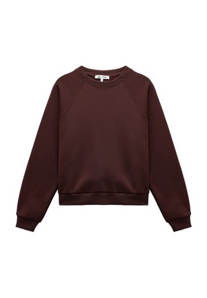 Bruine sweatshirt met een ronde hals, ribgebreide manchetten en zoom. Zachte stof met raglanmouwen en een relaxte pasvorm. Geen zichtbare graphics of patronen.