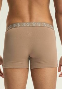 Beżowe bokserki wykonane z gładkiego materiału. Pas nosi subtelny jasnoszary wzór. Dopasowanie jest ciasne, z czystymi krawędziami.