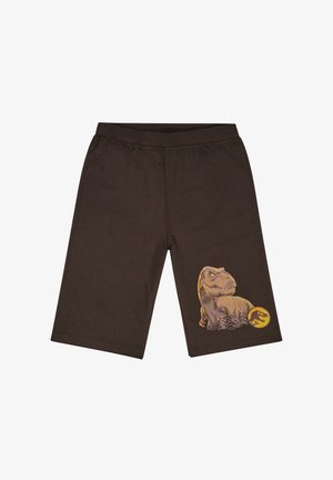 Pantaloni corti marroni in misto cotone con vita elasticizzata. Presentano una grafica di un dinosauro sulla gamba sinistra con un logo circolare.