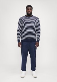Maglione a righe blu navy e bianche con scollo rotondo, abbinato a chinos blu navy e sneakers bianche. La vestibilità è rilassata e casual.