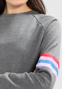 Grijze sweatshirt met een ronde halslijn en raglanmouwen. De linkermouw heeft rood, roze en blauwe horizontale strepen. Zachte textuur.
