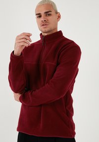 Pullover in pile bordeaux con zip a quarti, tessuto testurizzato, maniche lunghe e una cucitura orizzontale in contrasto sul petto.