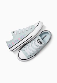 Zapatillas de lona azul claro con cordones blancos, suelas de goma negra y bordado floral en rosa y morado en los lados exteriores. Punta redonda.