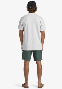 Quiksilver N.A.R. STN - Camiseta estampada - snow heather
