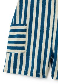 Shorts in cotone con strisce verticali blu e bianche, dotati di tasca laterale e dettagli di cucitura visibili. Texture morbida e design casual.