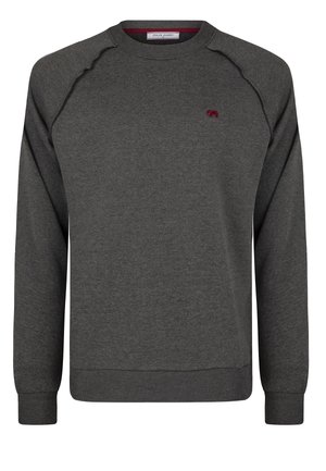 CREW NECK BASIC - Sweater - anthracite
